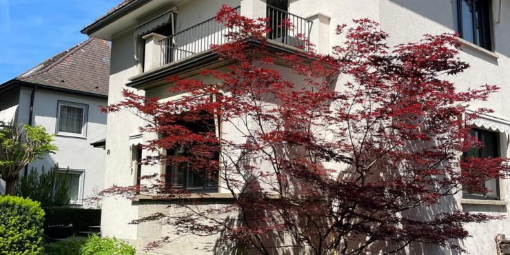 Charmant und mit viel Potential, Stadthaus am Rand der Altstadt, guter Grundriss