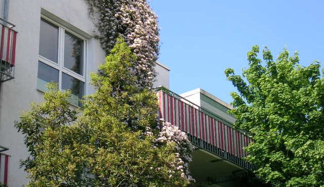 Sonnig + großzügig + hochwertig + Parkett + Balkon + nahe DFB-Zentrale